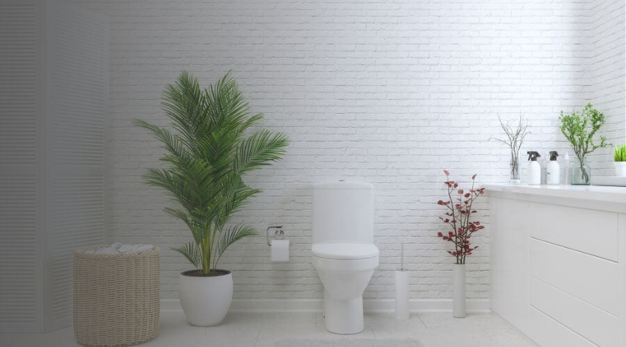 Why choose College Station Portable Toilets Rental for construction toilets in College Station,tx